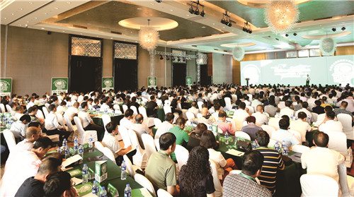 1517468019629108.jpg 1.jpg