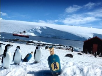 1517991024536996.jpg 1.jpg