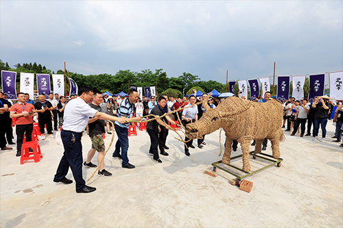 1623206535691923.jpg 6-7.jpg