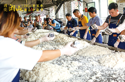 1633767578732605.jpg 8.jpg