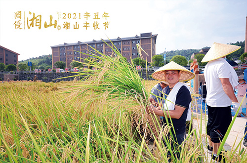 1634264358178604.jpg 7.jpg