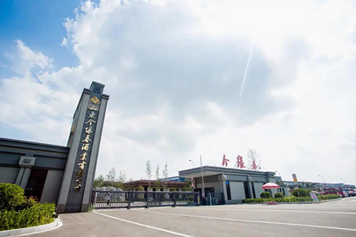 1636534843309934.jpg 1636532177859985.jpg