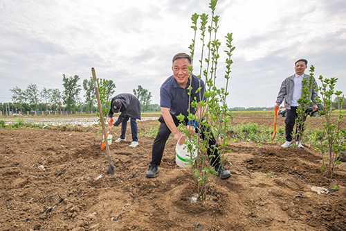 1750231522221894.jpg 4.jpg