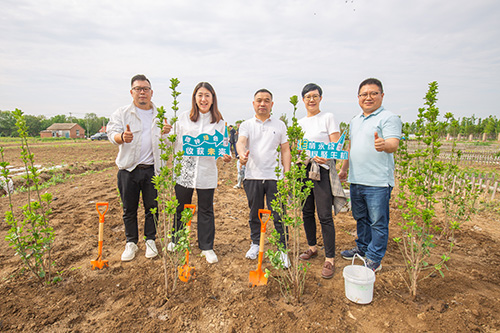 1750231563677067.jpg 7.jpg